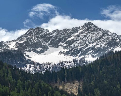 Lunaris Photography, Iris Dobre, Sesiuni foto profesionale, sedinte foto tip natura, nature photography