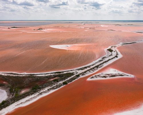 Lunaris Photography, Iris Dobre, Sesiuni foto profesionale, sedinte foto tip natura, nature photography