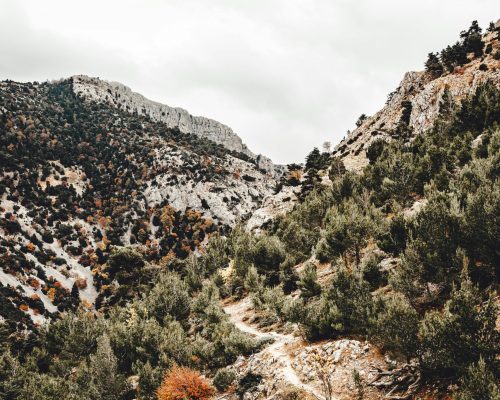 Lunaris Photography, Iris Dobre, Sesiuni foto profesionale, sedinte foto tip natura, nature photography